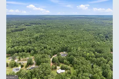 155 Skyview Road, Senoia, GA 30276 - Photo 3