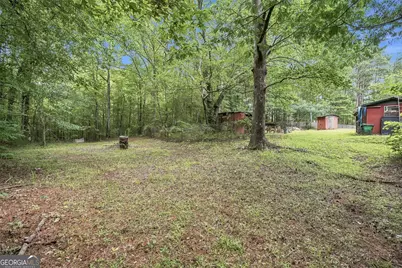 155 Skyview Road, Senoia, GA 30276 - Photo 9