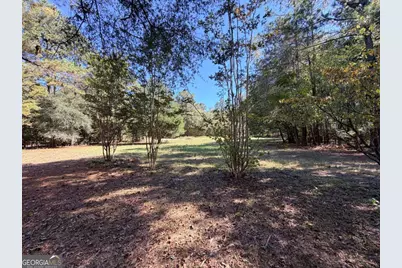 0 Towaliga South Road, Jackson, GA 30233 - Photo 5
