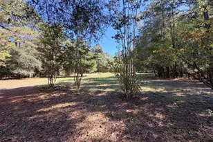 0 Towaliga South Rd, Jackson, GA 30233 - Photo 5