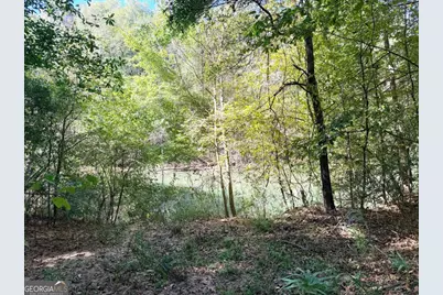 0 Towaliga South Road, Jackson, GA 30233 - Photo 3