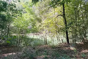 0 Towaliga South Rd, Jackson, GA 30233 - Photo 3