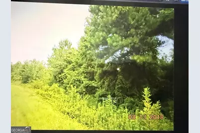C017-020 Whitaker Road, Roberta, GA 31078 - Photo 1