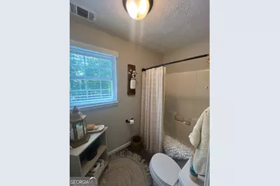 385 Minix Road, Sharpsburg, GA 30277 - Photo 35
