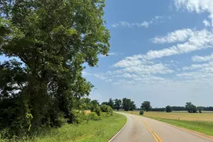 002 Barge Rd, Lumpkin, GA 31815 - Photo 1