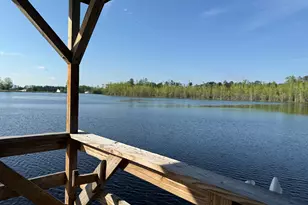 Lot 21 Windemere Dr, Statesboro, GA 30458 - Photo 5