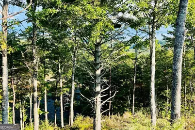 Lot 17 Mountain Laurel Ridge, Mineral Bluff, GA 30559 - Photo 3