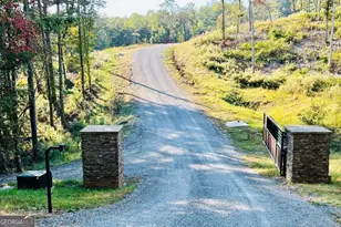 Lot 17 Mountain Laurel Ridge, Mineral Bluff, GA 30559 - Photo 1