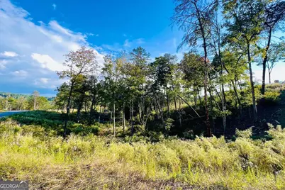 Lot 17 Mountain Laurel Ridge, Mineral Bluff, GA 30559 - Photo 7