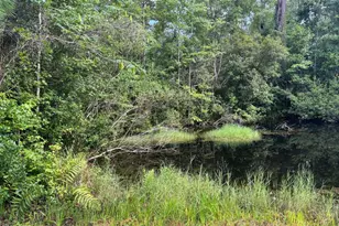 114 Ritch Dr, Brunswick, GA 31525 - Photo 17