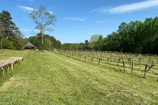 1024 Stonepile Rd, Clarkesville, GA 30523 - Photo 47