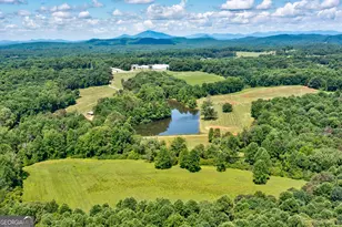 1024 Stonepile Rd, Clarkesville, GA 30523 - Photo 3