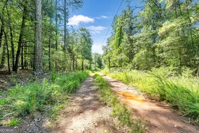 336 Piney Grove Road, Comer, GA 30629 - Photo 17