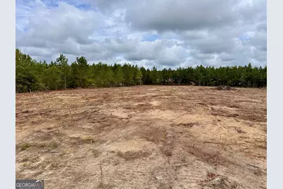 Lot A Rock Springs Road, Dublin, GA 31021 - Photo 5
