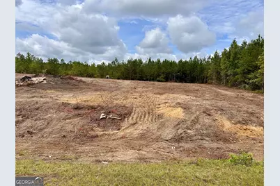 Lot A Rock Springs Road, Dublin, GA 31021 - Photo 3