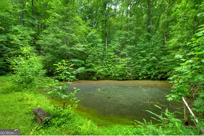 600 Conasauga Road, Ellijay, GA 30540 - Photo 63