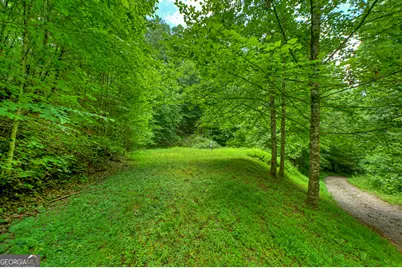 600 Conasauga Road, Ellijay, GA 30540 - Photo 61