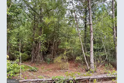 Lot B Rock Springs Road, Dublin, GA 31021 - Photo 5