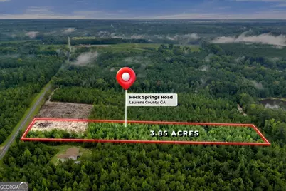 0 Rock Springs Road, Dublin, GA 31021 - Photo 7