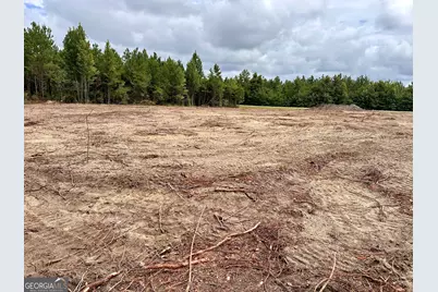 Lot B Rock Springs Road, Dublin, GA 31021 - Photo 3