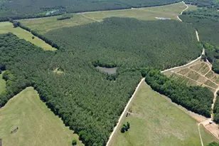 0 Flatwoods & Colonel Dixon Roads, Elberton, GA 30635 - Photo 1