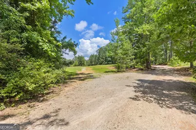 10861 Hutcheson Ferry Road, Chattahoochee Hills, GA 30268 - Photo 11