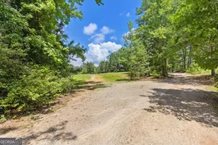 10861 Hutcheson Ferry Rd, Chattahoochee Hills, GA 30268 - Photo 11