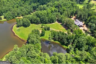 10861 Hutcheson Ferry Road, Chattahoochee Hills, GA 30268 - Photo 3