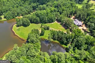 10861 Hutcheson Ferry Rd, Chattahoochee Hills, GA 30268 - Photo 3