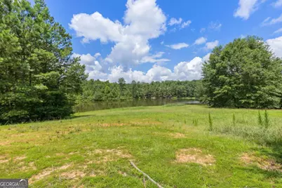 10861 Hutcheson Ferry Road, Chattahoochee Hills, GA 30268 - Photo 13