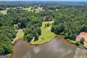10861 Hutcheson Ferry Rd, Chattahoochee Hills, GA 30268 - Photo 7