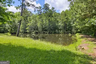 10861 Hutcheson Ferry Rd, Chattahoochee Hills, GA 30268 - Photo 15