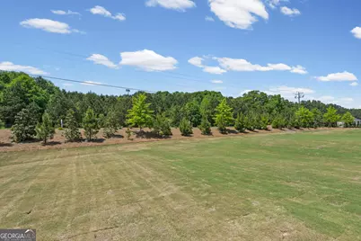 256 Nesta Grove, Locust Grove, GA 30248 - Photo 43