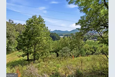 22 Gardenia Way, Blairsville, GA 30512 - Photo 39