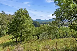 22 Gardenia Wy, Blairsville, GA 30512 - Photo 39