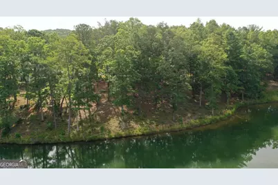 1117 Rome Beauty, Clarkesville, GA 30523 - Photo 3