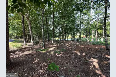 1117 Rome Beauty, Clarkesville, GA 30523 - Photo 19