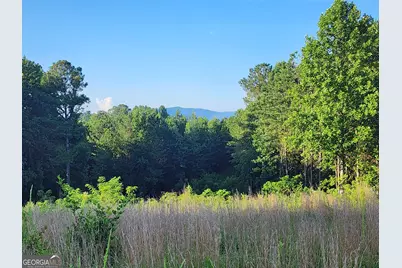 2027 Pleasant Valley Road, Talking Rock, GA 30175 - Photo 7
