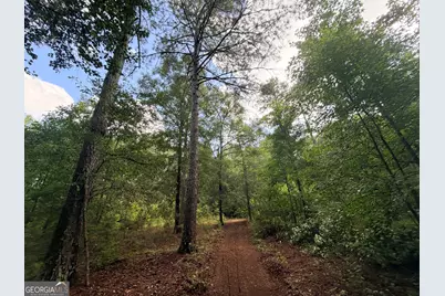 1528 James Adams Road, Danielsville, GA 30633 - Photo 19