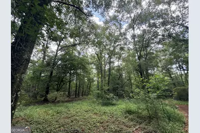1528 James Adams Road, Danielsville, GA 30633 - Photo 59