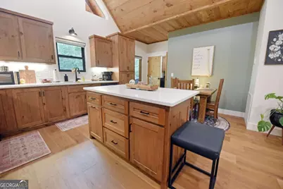 954 Tipton Springs Road, Morganton, GA 30560 - Photo 17