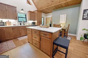 954 Tipton Springs Rd, Morganton, GA 30560 - Photo 17