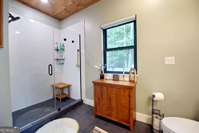954 Tipton Springs Road, Morganton, GA 30560 - Photo 23
