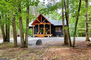 954 Tipton Springs Rd, Morganton, GA 30560 - Photo 45