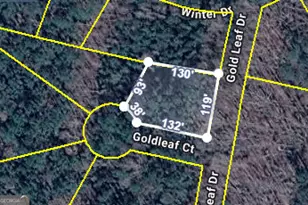 0 Gold Leaf Dr, Grantville, GA 30220 - Photo 1