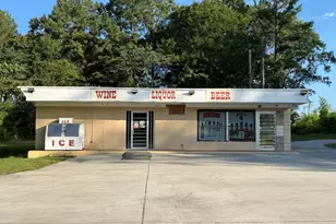 3391 Hwy 117, Cadwell, GA 31009 - Photo 1