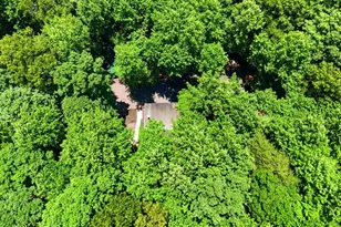 151 Hatchet Trail, Cherry Log, GA 30522 - Photo 47