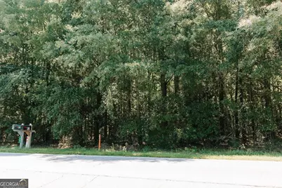0 Lexington Carlton Road, Lexington, GA 30648 - Photo 3