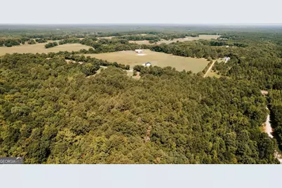 0 Lexington Carlton Road, Lexington, GA 30648 - Photo 17