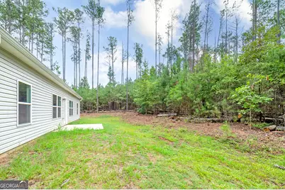219 Hamilton Road, Concord, GA 30206 - Photo 33